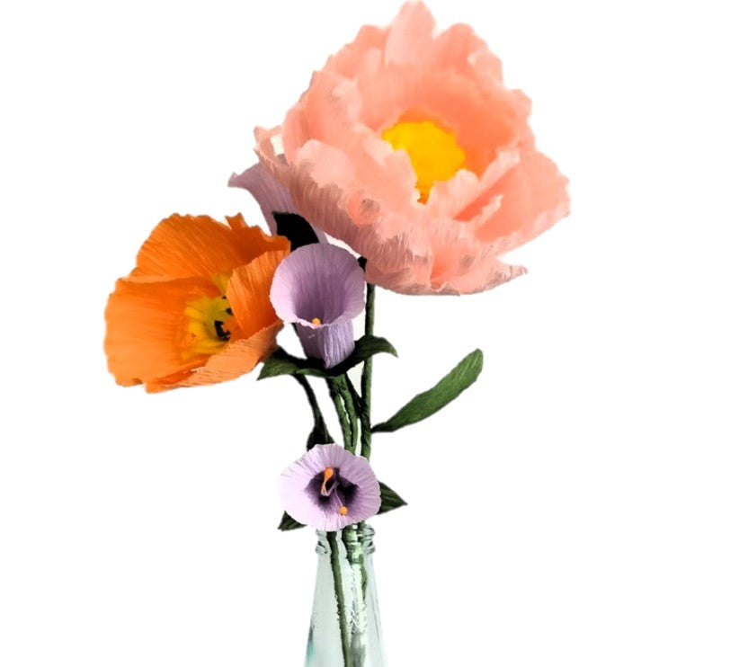 Crêpe papieren bloemen kit.