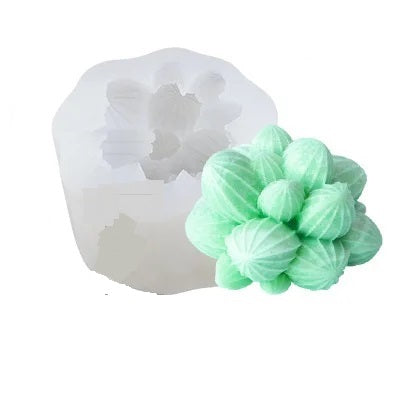 Cactus Mammillaria of tepel cactus