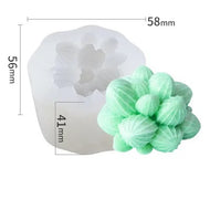 Cactus Mammillaria of tepel cactus