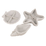 Schelp - zeester - conch-set