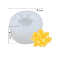 Succulent - vetplantje