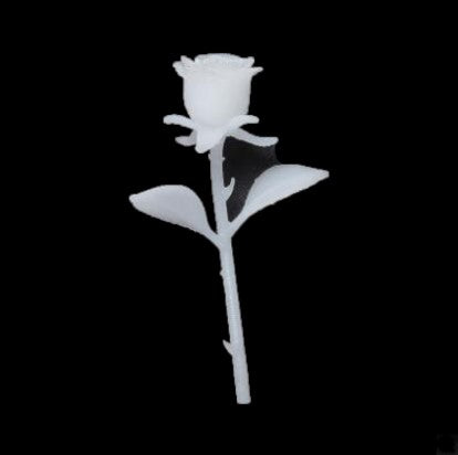 Roos 3D
