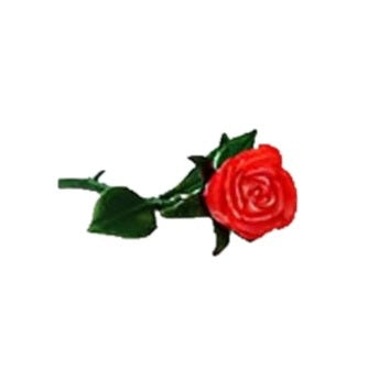 Roos 3D