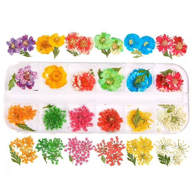 Droogbloemen_01