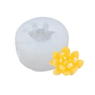 Succulent - vetplantje