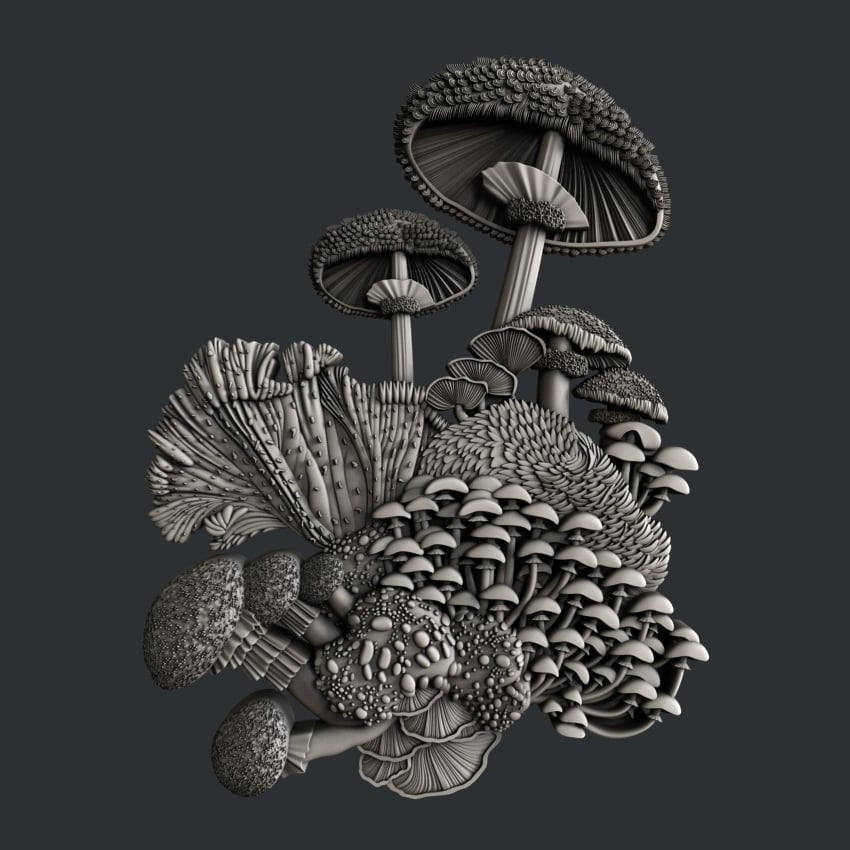 7_MUSHROOM BLOOM - SET 2