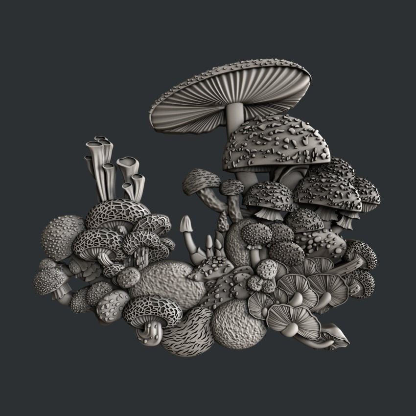 9_MUSHROOM BLOOM - SET 5
