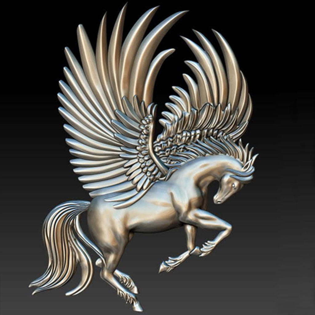28_PEGASUS FLIGHT