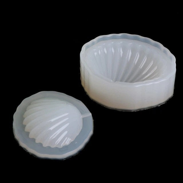 63 Schelp 3D