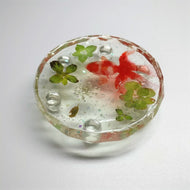 Stickers 3d simulatie vissen