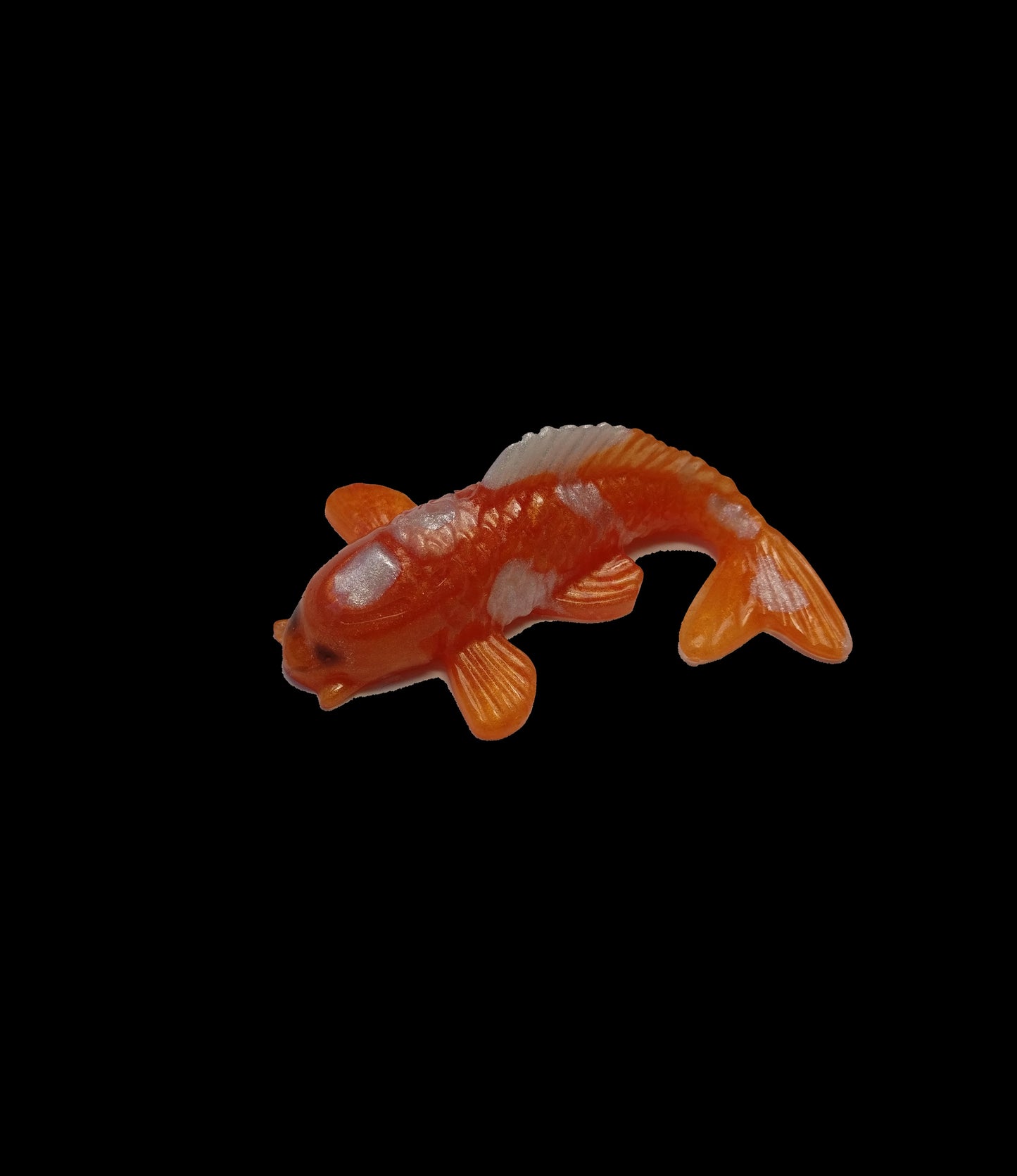 44 Koi karper vis