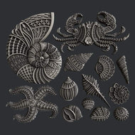 40_TREASURES OF THE SEA